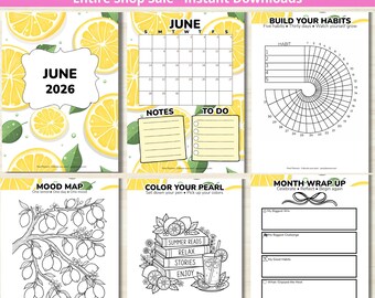June Planner - PRINTABLE Monthly Journal - Habit Tracker - Mood Tracker - Dated June 2026 - Full Color - Letter + A5 PDF