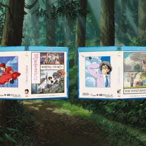 May include: Two Blu-ray cases featuring anime artwork. One case displays a red-clad character and the text "Whisper of the Heart" in Japanese. The other case shows a man in a pink suit and the title "The Wind Rises" in English and Japanese.