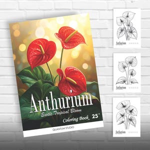 anthurium patriciae Philodendron scherberichii x patriciae (S) - Hybrid Aroid main image 1