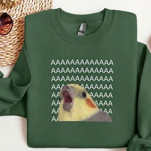 May include: Green sweatshirt with the word "AAAAAAAAAAAA" repeated vertically. A cartoon cockatiel with its beak open is in the center. The bird has yellow, orange, and gray feathers.
