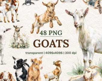Może przedstawiać: Akwarelowe ilustracje kóz w różnych pozach i kolorach, w tym brązowym, białym i czarnym. Obraz zawiera tekst "48 PNG GOATS" oraz szczegóły dotyczące przezroczystości i rozdzielczości.