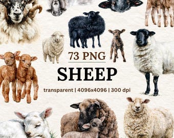 Clipartbundel schapen 73 png | Aquarel, pluizig lam, illustratie boerderijdieren
