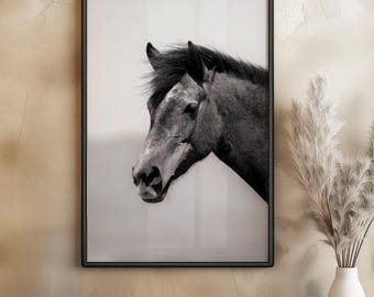 Horse Portrait Photography Print, Strong Shadow, Minimal Equine Wall Art, Black and White Animal Fine Art, Digital Download