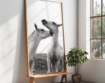 Playful Brother Foals Photography Print, Black and White Horse Wall Art, Nursery Equine Decor, Fine Art Digital Download