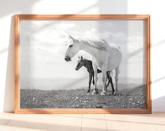 Mare and Foal Horse Print, Black and White Equine Photo (Digital Download)
