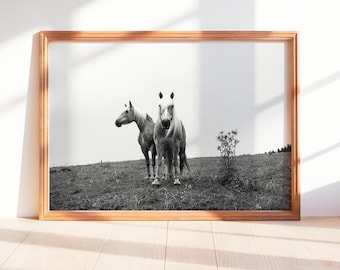Two Haflinger Horses Photography Print, Minimalist Black and White Equine Wall Art, Modern Farmhouse Decor, Digital Download