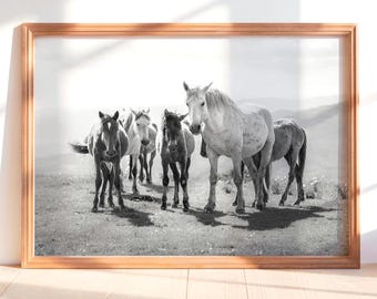 Wild Horse Herd Black and White Photography Print, Farmhouse Wall Art (Digital Download)