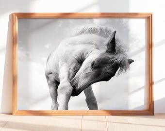 Black and White Foal Photography Print, Minimal Horse Wall Art, Modern Equine Decor, Fine Art Digital Download