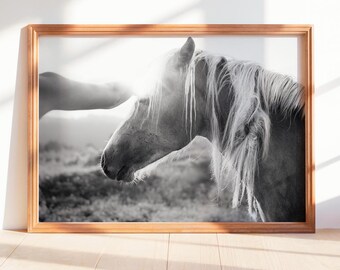 Woman and Horse Photography Print, Interaction Woman HorseBlack and White Equine Wall Art, Emotional Animal Art, Fine Art Digital Download