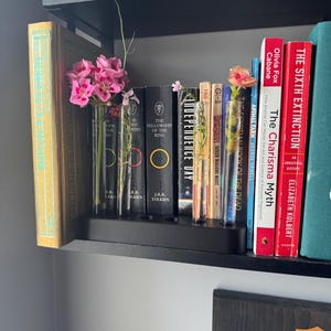 May include: A black rectangular stand holding four clear glass test tubes, each containing water and a single flower or plant stem. The stand is positioned on a shelf in front of several books, including titles like The Fellowship of the Ring.