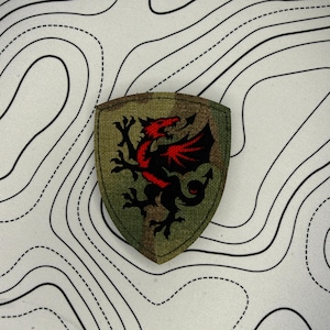 May include: A shield-shaped patch featuring a black dragon with red detailing on a camouflage background. The dragon is depicted in a heraldic style. The patch is set against a white backdrop with black contour lines.