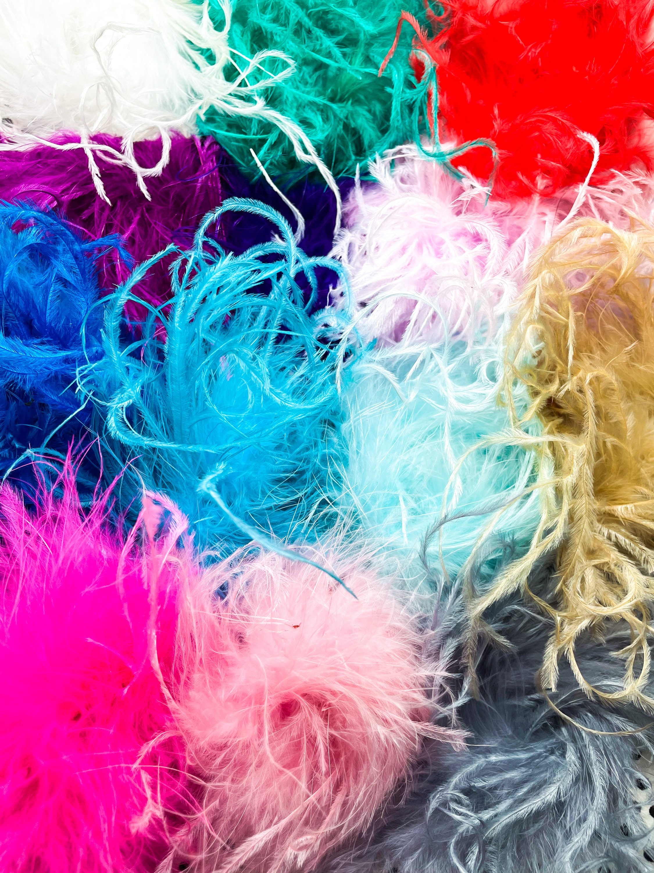 Coral Pink Feathers Etsy
