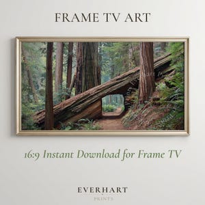 May include: A rectangular digital art print for a Frame TV featuring a forest scene with a large fallen redwood tree trunk creating a natural archway over a dirt path, surrounded by green ferns and tall trees, framed in a thin metallic border.