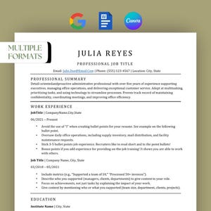 May include: A resume template featuring the name "JULIA REYES" and the job title "PROFESSIONAL JOB TITLE." The document is structured with sections for a professional summary, work experience, and education. The design is clean and modern, with bullet points.