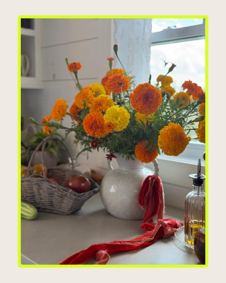 K&ouml;nnte beinhalten: Eine wei&szlig;e Keramikvase mit leuchtend orangefarbenen und gelben Ringelblumen. Ein rotes Band liegt auf der Theke. Ein Weidenkorb mit Produkten und eine Glasflasche mit &Ouml;l sind ebenfalls zu sehen.