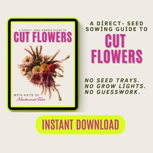 K&ouml;nnte beinhalten: Ein digitaler Leitfaden mit dem Titel "Cut Flowers" mit einer Illustration eines Blumenarrangements. Der Leitfaden verspricht eine direkte Aussaat ohne Saatschalen, Wachstumslampen oder R&auml;tselraten. Die Worte "Sofort-Download" sind ebenfalls sichtbar.