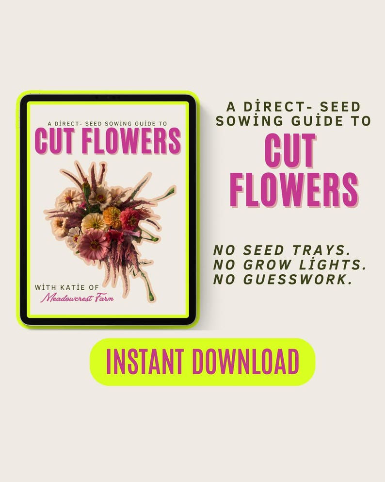 K&ouml;nnte beinhalten: Ein digitaler Leitfaden mit dem Titel "Cut Flowers" mit einer Illustration eines Blumenarrangements. Der Leitfaden verspricht eine direkte Aussaat ohne Saatschalen, Wachstumslampen oder R&auml;tselraten. Die Worte "Sofort-Download" sind ebenfalls sichtbar.