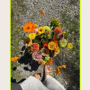 K&ouml;nnte beinhalten: Ein lebendiger Blumenstrau&szlig; mit bunten Blumen, darunter orangefarbene Kosmeen, gelbe Zinnien und rosa Bl&uuml;ten. Die Blumen werden in der N&auml;he der F&uuml;&szlig;e einer Person gehalten, die Sandalen tr&auml;gt. Der Hintergrund ist Schotter und Gras.