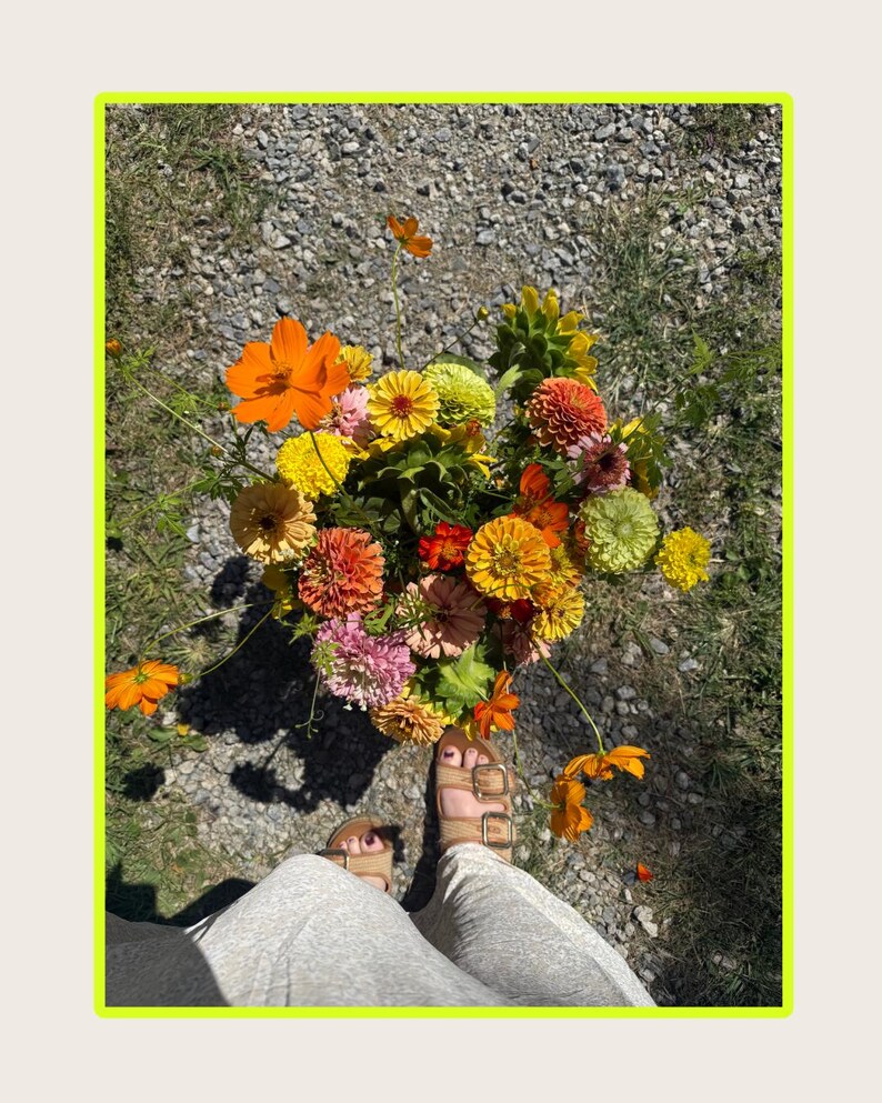 K&ouml;nnte beinhalten: Ein lebendiger Blumenstrau&szlig; mit bunten Blumen, darunter orangefarbene Kosmeen, gelbe Zinnien und rosa Bl&uuml;ten. Die Blumen werden in der N&auml;he der F&uuml;&szlig;e einer Person gehalten, die Sandalen tr&auml;gt. Der Hintergrund ist Schotter und Gras.