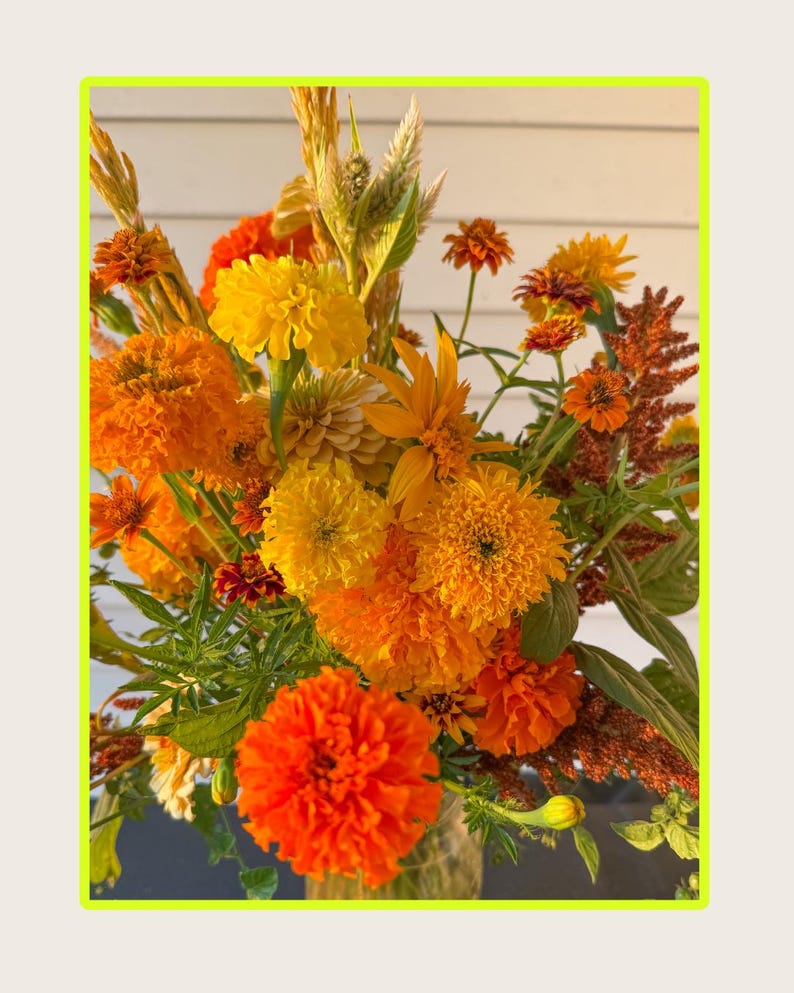 K&ouml;nnte beinhalten: Ein lebendiger Blumenstrau&szlig; aus orangefarbenen und gelben Blumen, darunter Ringelblumen und Zinnien, mit gr&uuml;nem Laub. Das Arrangement steht vor einem neutralen Hintergrund und schafft eine warme, einladende Blumenausstellung.