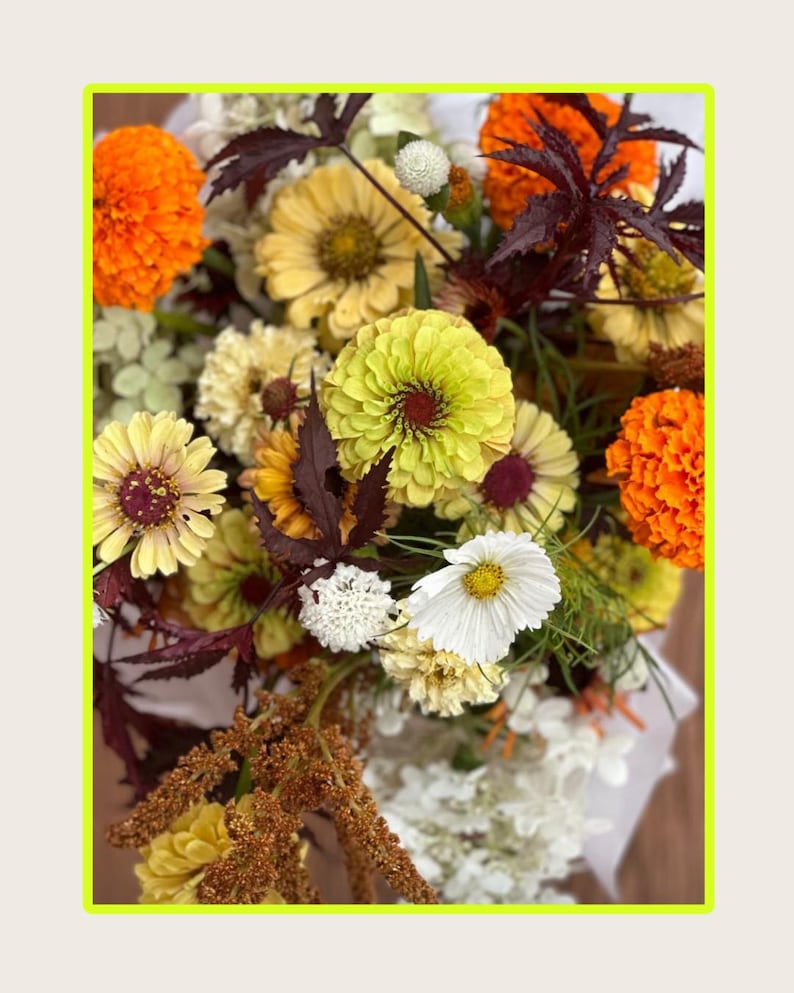 K&ouml;nnte beinhalten: Ein lebendiger Blumenstrau&szlig; mit gemischten Blumen, darunter leuchtend orangefarbene Ringelblumen, gelbe Zinnien und wei&szlig;e Kosmeen. Dunkelburgunderfarbene Bl&auml;tter und kleine wei&szlig;e Pomponbl&uuml;ten setzen Kontraste. Die Anordnung ist in wei&szlig;es Papier gewickelt.