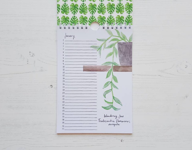 Perpetual Birthday and Celebration House Plant Calendar Undated planner image 2