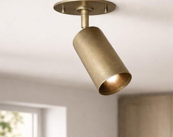 Brushed Antique Brass Single Head Directional Spotlight