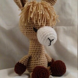 Lloyd the Llama
