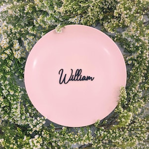 May include: A light pink plate with the name "William" in black cursive script. The plate is surrounded by small white flowers and green foliage, creating a soft, natural backdrop. The plate is centered in the image.
