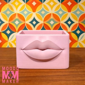 Puede incluir: Una jardinera rectangular rosa claro con un diseño de labios esculpidos en la parte delantera. La jardinera está colocada sobre un fondo con estampado geométrico colorido. El texto "MOODY MOM MAKES" es visible en la esquina inferior izquierda.