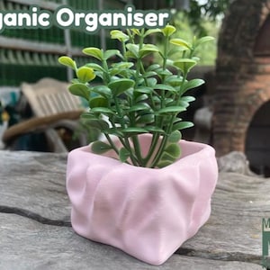 Organic Organiser – Nature-Inspired Storage Box | Digital .STL File for 3D Printing - Printable Models