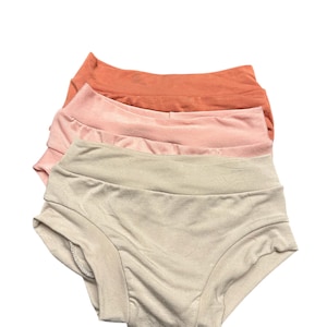 May include: Three pairs of underwear in shades of terracotta, light pink, and beige are stacked on top of each other. The underwear has a high-waisted design and a soft, smooth texture. The image is set against a white background.