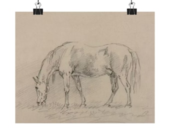 Grazing Horse Sketch Matte Poster | Horse Art, Equestrian Wall Decor
