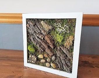 Preserved moss wall art, Oak bark moss art, Rustic wall art, Living wall garden, Moss picture frame, Vertical wall art