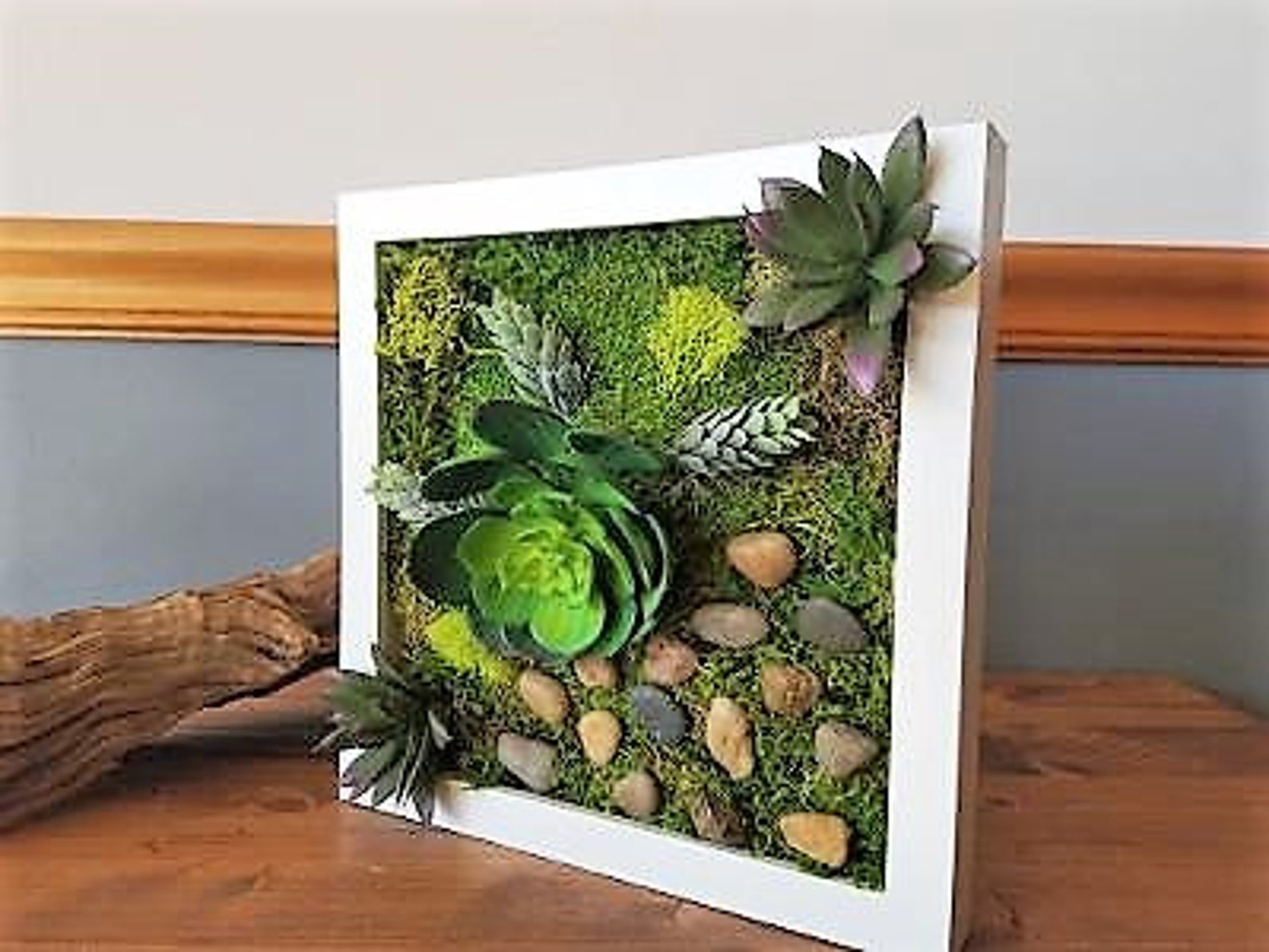 Faux Succulent Wall Art Preserved Moss Wall Art Living Wall Etsy
