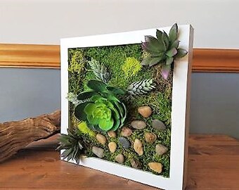 Faux succulent wall art, Preserved moss wall art, Living wall garden, Moss picture frame, Vertical wall art