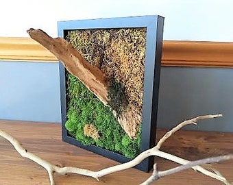 Preserved Moss art, Driftwood moss  frame, Driftwood wall art,  Moss frame art, Vertical wall art