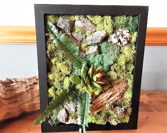 Faux succulent wall art, Preserved moss wall art, Living wall garden, Moss picture frame, Vertical wall art