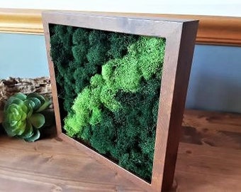 Preserved Moss art, Moss art frame, Living wall garden, Moss picture frame, Vertical wall art