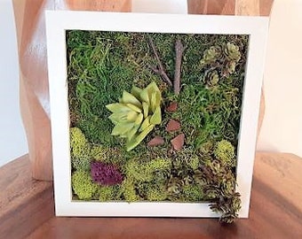 Faux succulent wall art, Preserved moss wall art, Living wall garden, Moss picture frame, Vertical wall art