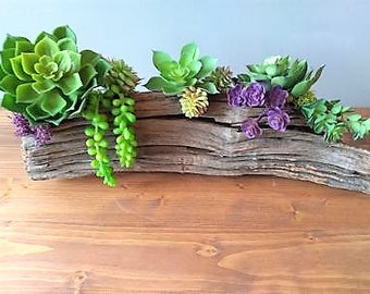 May include: A rustic wooden log planter with a variety of green succulents and purple flowers. The log is weathered and has a natural, organic look.