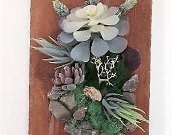 Faux succulent wall art, Succulent wall hanging, Wood wall hanging, Preserved moss wall art, Wood wall art, Moss picture frame