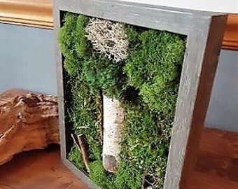 Preserved Moss art, Birch moss art, Moss art frame, Moss picture frame, Vertical wall art, Wall garden