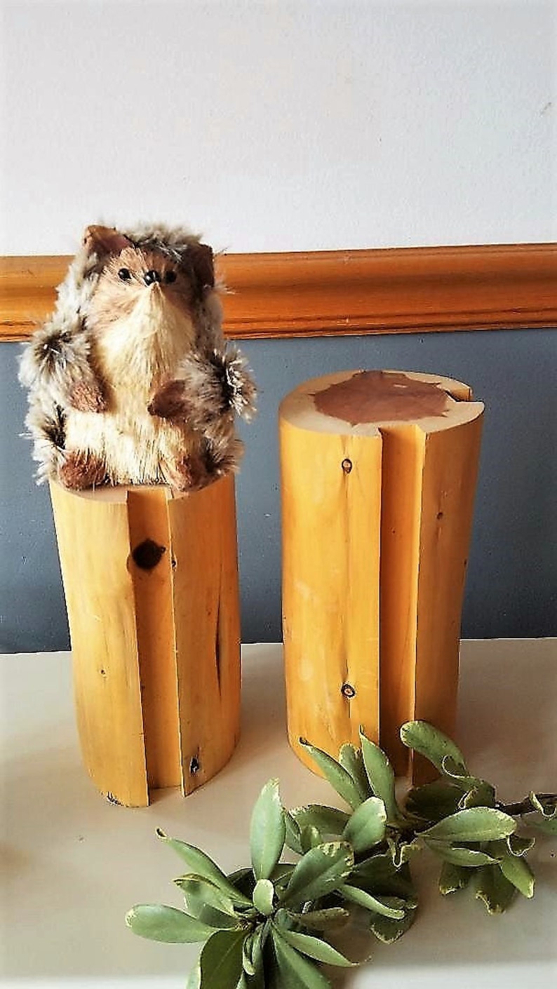 Cedar tree stump Fall decor Rustic tree stump Etsy