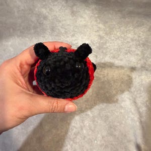 Peut inclure: Un jouet coccinelle en peluche fait à la main. La coccinelle est principalement noire avec une bande rouge autour du milieu. Elle a deux antennes noires et deux grands yeux noirs ronds. Le jouet est fait de fil doux et texturé.