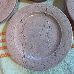 May include: A set of pink ceramic plates with a speckled design and black, branch-like accents. The plates have a slightly raised rim and are arranged in a stack. The plates are suitable for serving meals.