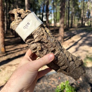 May include: A piece of natural, rough-textured brown cork bark with a cylindrical shape. A white adhesive label is wrapped around the upper section of the bark, featuring the handwritten number 900 in black ink on its surface.