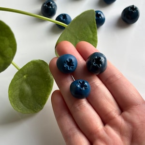 May include: A close-up shot of several dark blue blueberries, some held in a hand, with a green leaf and stem. The blueberries have a star-shaped indentation on top. The background is white.