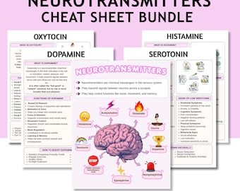 Guías rápidas sobre neurotransmisores / Química cerebral / Guía de neurociencia / Hojas de trabajo para terapia / Herramienta de psicología