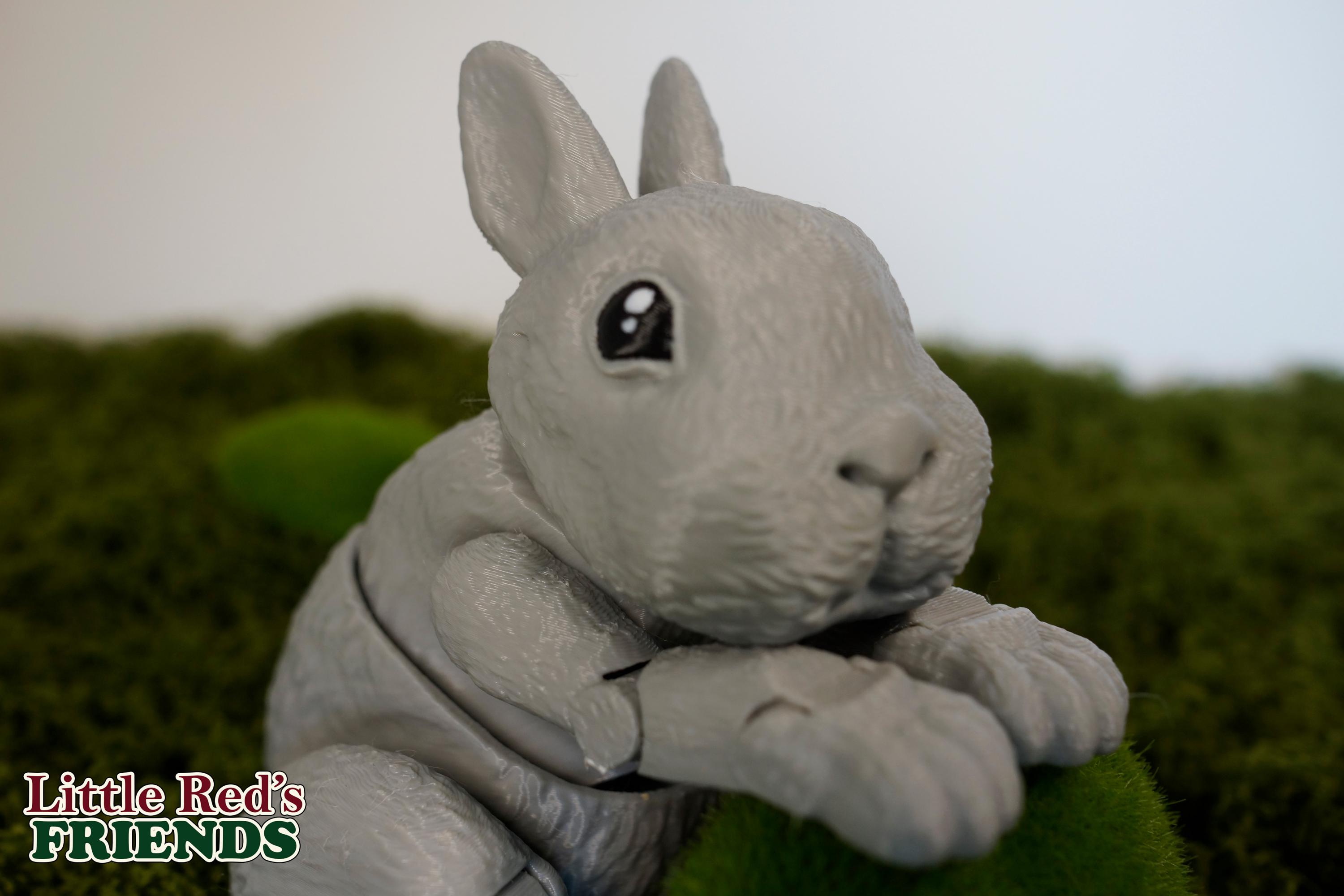 Bunny Rabbit Digital .STL Files for 3d Printing, Articulated Fidget ...